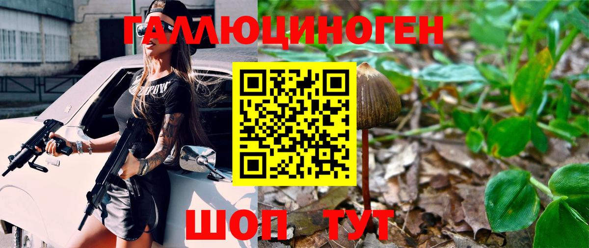 Псилоцибиновые грибы Psilocybine cubensis  Вход с VPN  купить  сайты  Похвистнево 