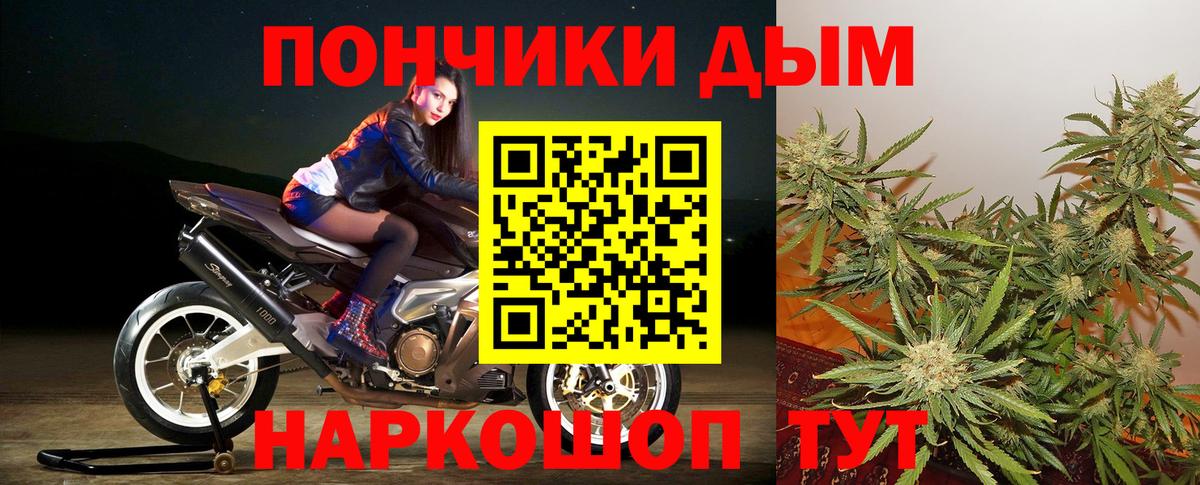 Похвистнево  Бошки Шишки планчик  Вход с VPN  Каннабис Amnesia 